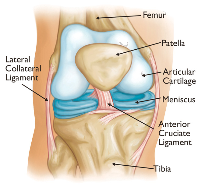 knee replacement in Delhi 
